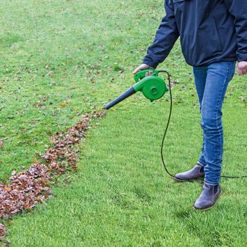 Compacte bladblazer en -zuiger