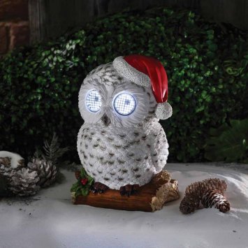 Sneeuwuil met oogbeweging
