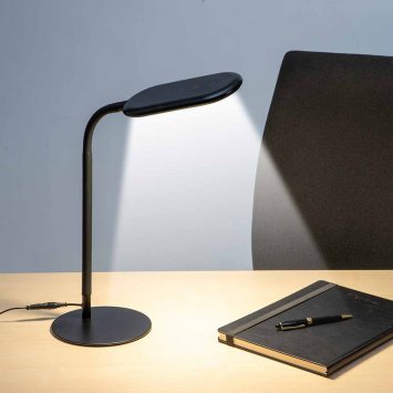 Tafellamp met zwanenhals