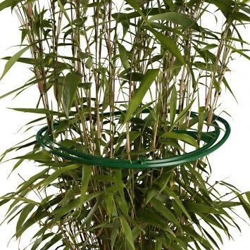 Vaste plantenringen in een set van 6