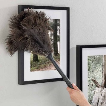 Telescopische struisvogelverenplumeau