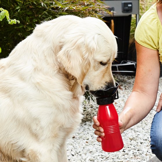 Reisdrinkfles voor honden 