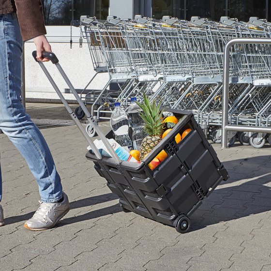 Opvouwbare trolley ’SmartCart’