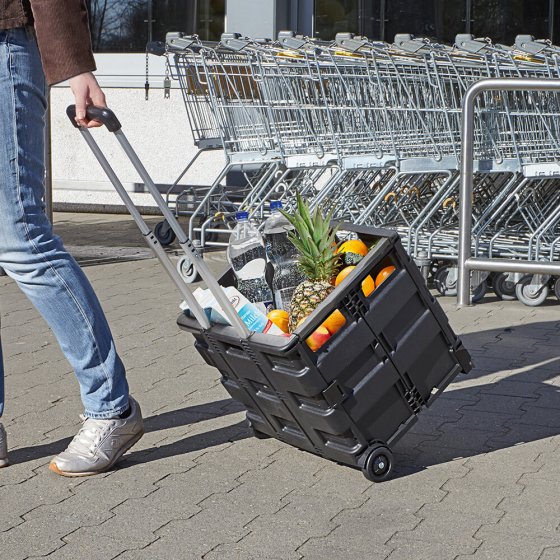 huichelarij datum Hoe Opvouwbare trolley 'SmartCart' | EUROtops.nl