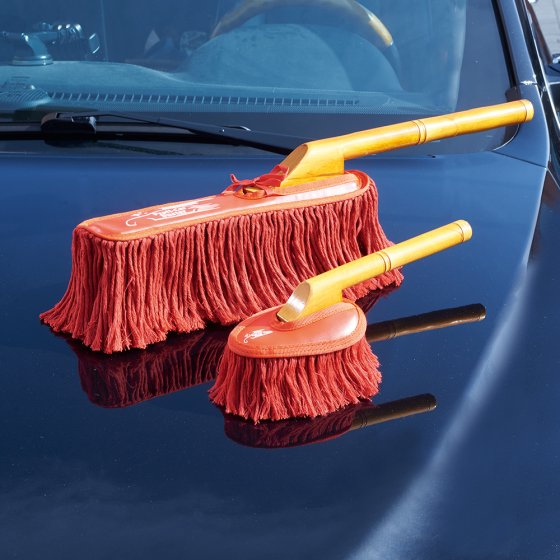 Professionele carduster 