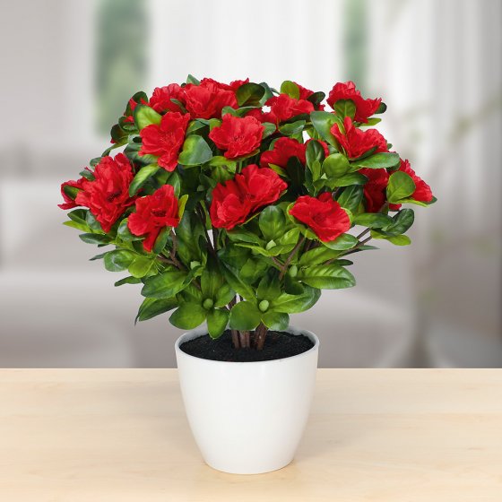 Kunstazalea in pot