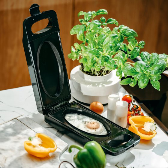 Multifunctionele omkeerbare grill 