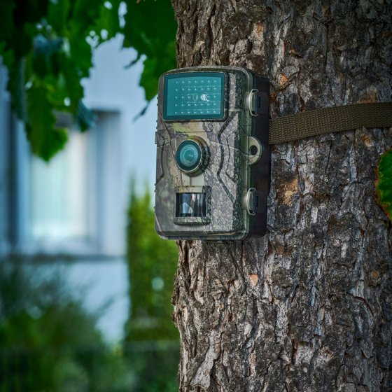 Wildcamera