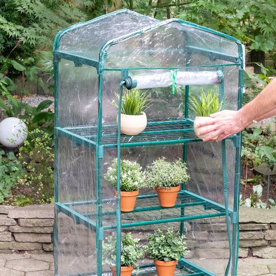Planten-kas