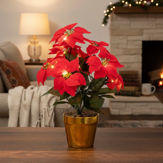 Kerstster met LED 
