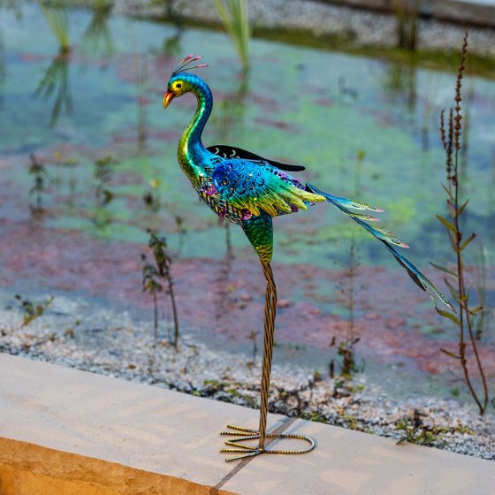 LED-zonne-tuindecoratie, pauw 