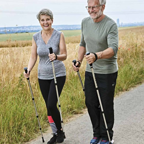 Wandelstokken 