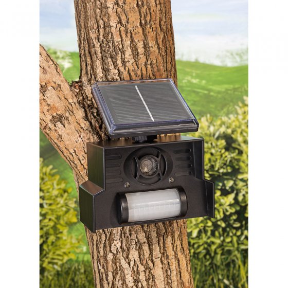 Solar vogelverschrikker