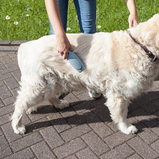 Ioniserende borstel voor dierenhaar 