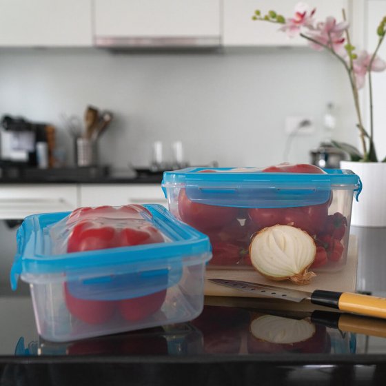 Vershoudbakjes met flexibele deksel Set van 2 stuks