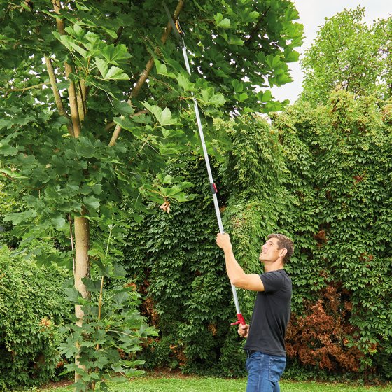 Telescopische snoeischaar met zaag 