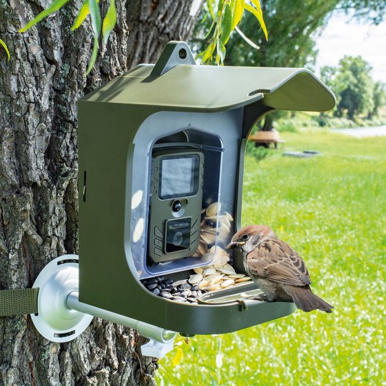 Vogelobservatiecamera met voederstation 