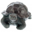 Waterspuitende zonne-schildpad - 1