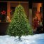 Outdoor led-kerstboom - 1