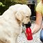 Reisdrinkfles voor honden - 1