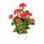 Kunstbloem geranium - 1