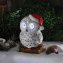 Sneeuwuil met oogbeweging - 1
