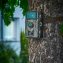 Wildcamera - 1