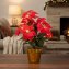 Kerstster met LED - 1