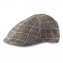 Moderne geruite pet - 1