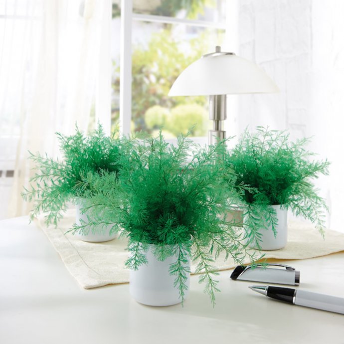 Muggenafschrikkende “Neptunus”