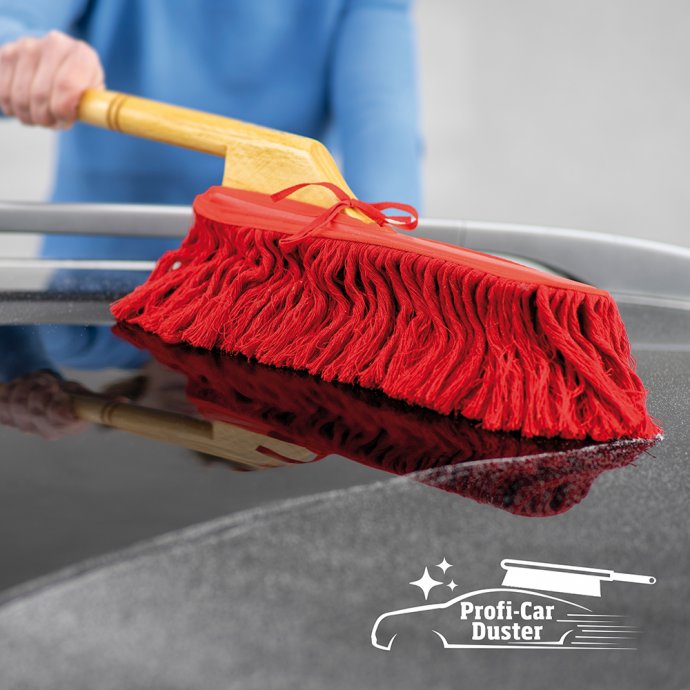 Professionele carduster set