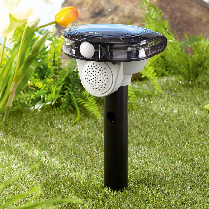 Vogelverjager op zonne-energie