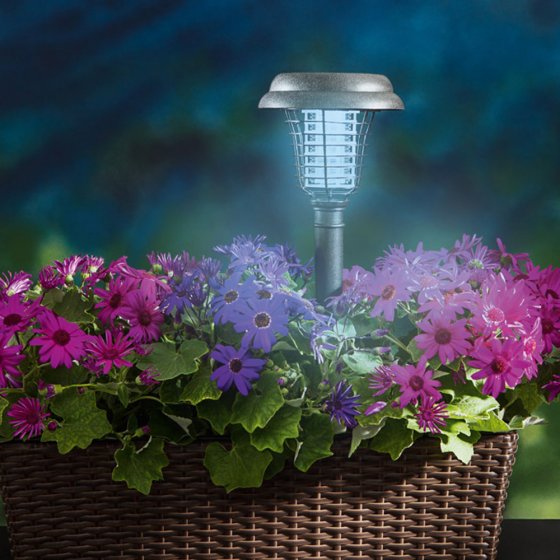 LED-solar-muggen-lantaren 