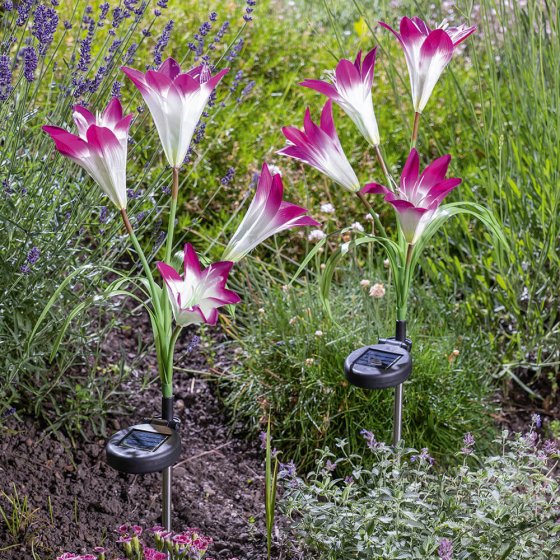 Ledbloemen op zonne-energie Set van 2 stuks 