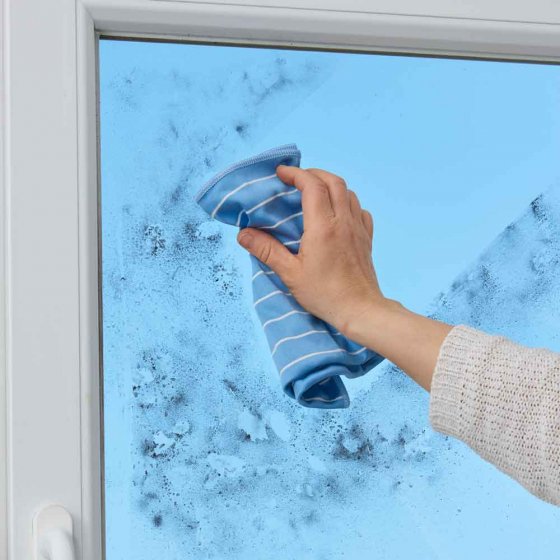 Glas- en raamdoek 'Diamond' in een set van 6 