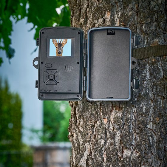 Wildcamera
