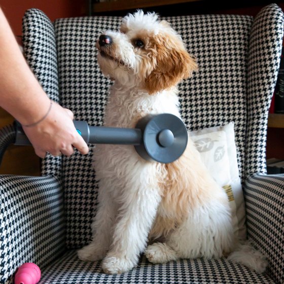 Borstelset voor dierenharen 