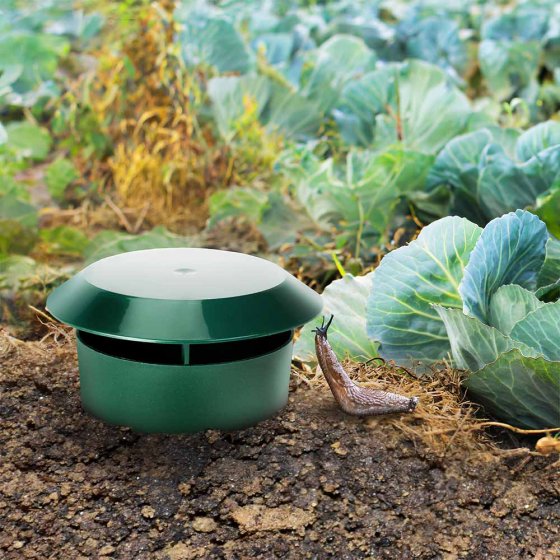 Slakkenvallen in een set van 2 