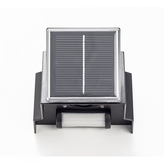 Solar vogelverschrikker