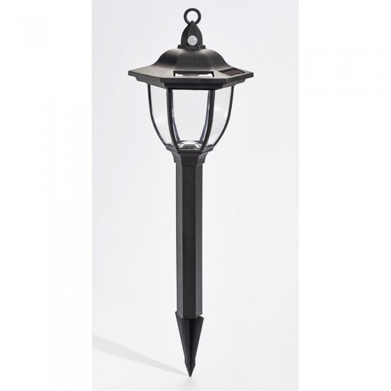 Solarlampen “2 in 1” Set van 2 stuks