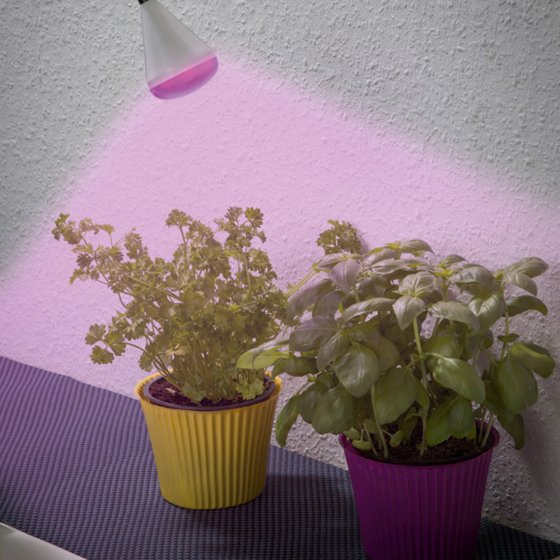 Led-plantenlamp