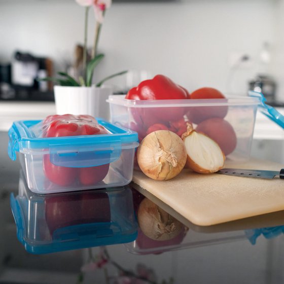 Vershoudbakjes met flexibele deksel Set van 2 stuks 