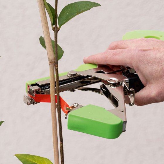 Gereedschap voor het binden van planten 