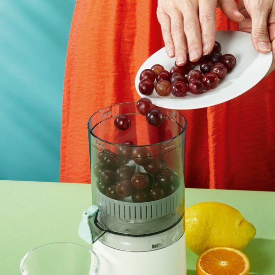 Volautomatische citruspers 