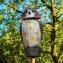 Tuinuil ’Vogelverjager’ - 2