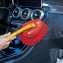 Professionele carduster - 2