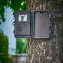 Wildcamera - 2
