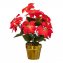 Kerstster met LED - 2