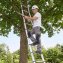 Telescoopladder 3.2 meter - 2
