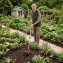 2-in-1-tuinfrees met onkruidmes - 2